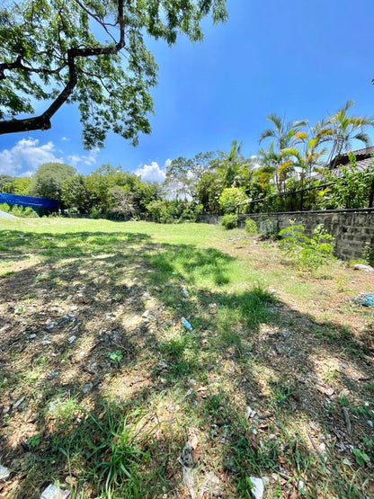 Ayala Alabang Village Prime Vacant Lot For Sale D