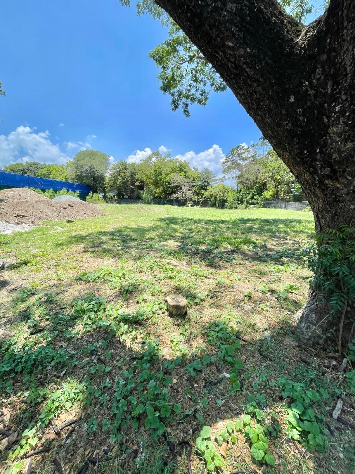 Ayala Alabang Village Prime Vacant Lot For Sale D