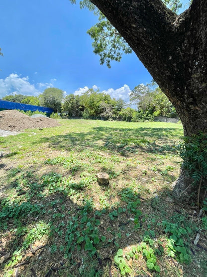 Ayala Alabang Village Prime Vacant Lot For Sale D