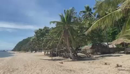 Vacant Lot Front Beach Batangas For Sale